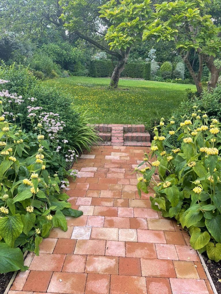 A brick pathway leads through a garden bordered by lush green plants with yellow flowers. In the background, a tree stands on a grassy lawn dotted with small yellow flowers. A hedge marks the edge of the garden. The atmosphere is serene and verdant.