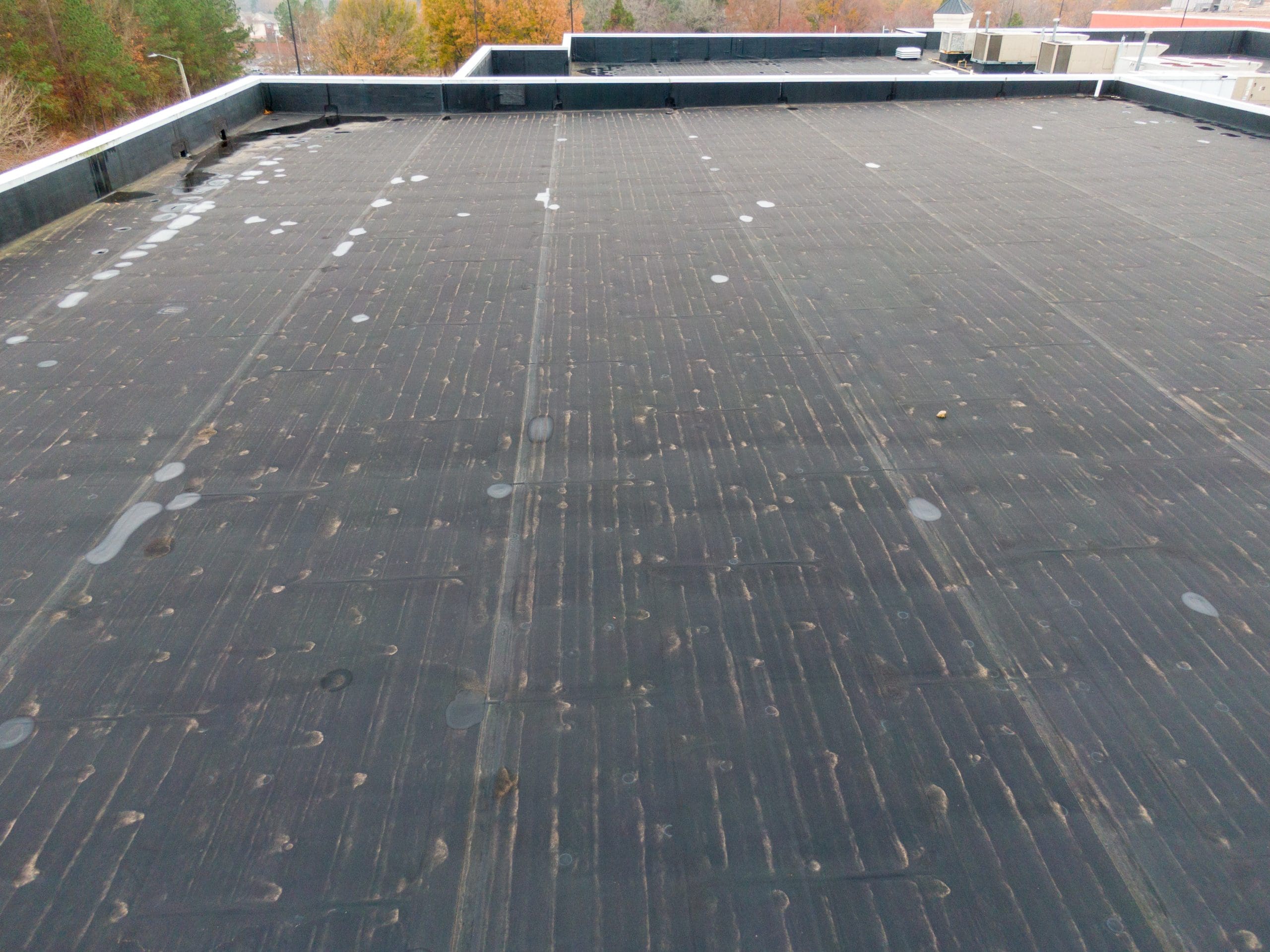 A black flat roof with visible seam lines and water spots, surrounded by a low black parapet. Trees with autumn foliage and a building with a red stripe are visible in the background.