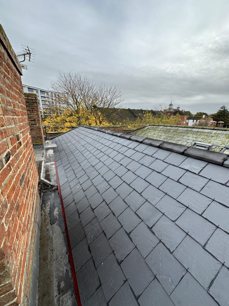 View of a rooftop with slate tiles near a brick chimney. In the background, there are trees with autumn leaves and a partially cloudy sky. Buildings are visible in the distance.